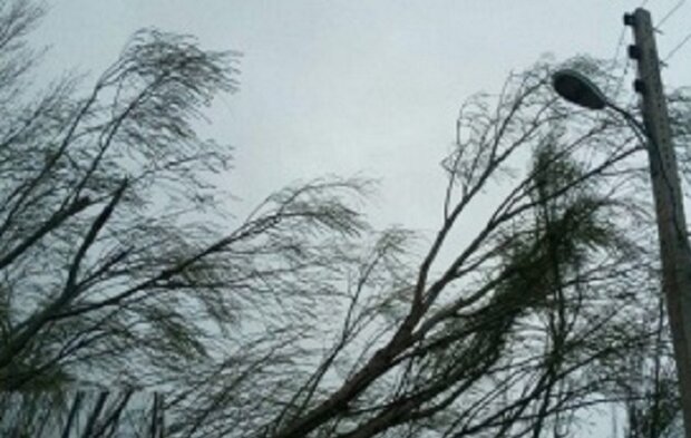 هشدار هواشناسی؛ تندباد، گردوخاک و رعدوبرق در آذربایجان شرقی