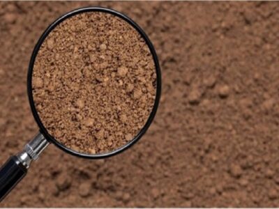 کمبود شدید مواد آلی در خاک‌های آذربایجان شرقی