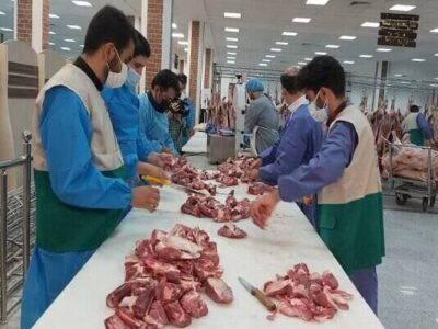 نظارت دامپزشکی بر ۲ هزار رأس دام قربانی در آذربایجان‌شرقی