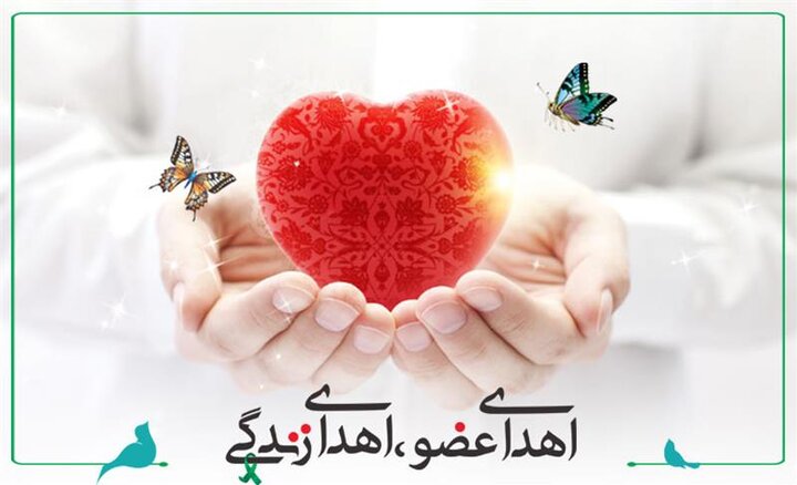 اهدای اعضای دختر مراغهای به سه بیمار نیازمند حیات دوباره بخشید
