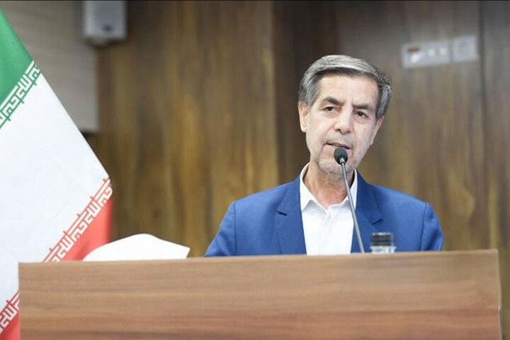 صدیقی: ساماندهی نیروهای شرکتی در کمیسیون اجتماعی مجلس پیگیری میشود