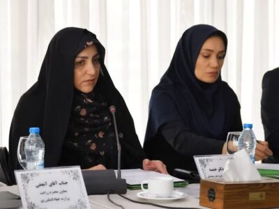 خمسه: مطالبات گندمکاران تا پایان شهریور پرداخت می‌شود